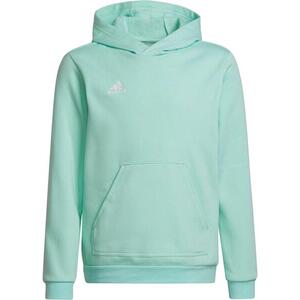 ENT22 HOODY Y kép