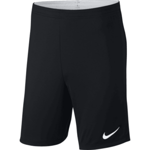 Y NK DRY ACDMY18 SHORT K kép