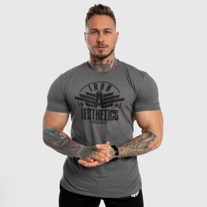 Férfi fitness póló Iron Aesthetics Force, szürke kép