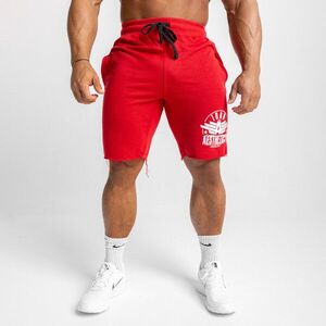 Férfi melegítősort Iron Aesthetics Force, piros kép