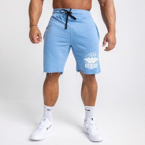 Férfi melegítősort Iron Aesthetics Force, világoskék kép