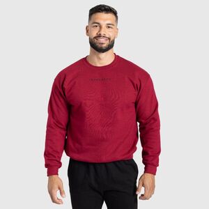 Férfi pulóver Iron Aesthetics Unit, piros kép