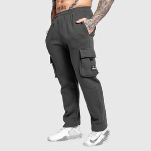 Férfi melegítőnadrág Iron Aesthetics Utility, szürke kép