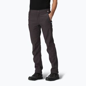 Nadrág softshell férfi REGATTA Geo Softshell II ash (Geo Softshell II RMJ117-61I) kép