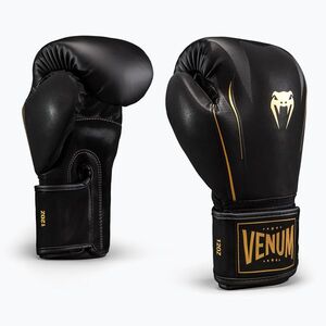 Bokszkesztyűk Venum G-Core Boxing black/gold (G-Core Boxing VENUM-06401-126) kép