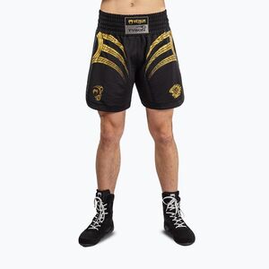 Férfi edző rövidnadrág Venum x Mike Tyson Tiger black/gold (x Mike Tyson Tiger VENUM-06034-126) kép