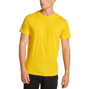 hmlRED BASIC T-SHIRT S/S kép