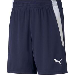 teamLIGA Shorts Jr kép