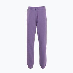 Női adidas All SZN Fleece nadrág lila fúzió (All SZN Fleece IC6462) kép