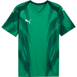 teamFINAL Graphic+ kép