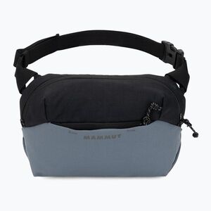 Övtáska Mammut Alto Waistpack 2 l strata (Alto Waistpack 2 2810-01530-00789-1020) kép
