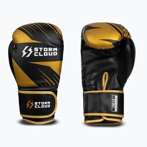 Bokszkesztyűk StormCloud Lynx 2.0 black/gold (Lynx 2.0 590618) kép