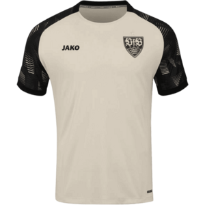 VfB Stuttgart Sonic International kép