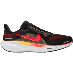 Pegasus 41 kép