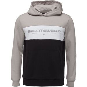 4F SWEATSHIRT COLOR BLOCK Férfi pulóver, szürke, méret kép