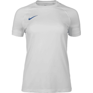 Dri-FIT Park VIII Women kép