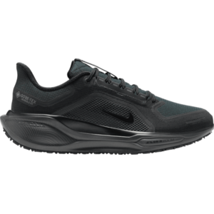 Pegasus 41 GORE-TEX kép