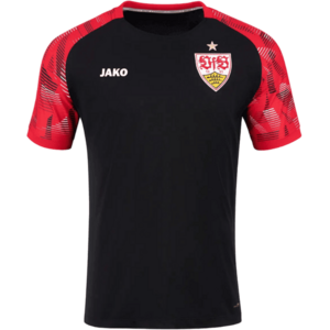 VfB Stuttgart Warm-Up International kép