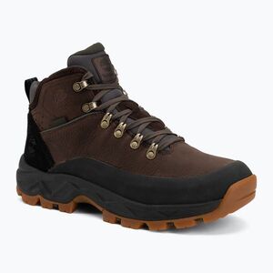 Férfi cipők Timberland Mt. Maddsen 2.0 Mid dark brown full grain (TB0A2QA9W011) kép