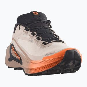 Női futócipők Salomon Genesis 2 GTX rainy day/desert tan (Genesis 2 GTX L45388200) kép