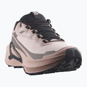 Női futócipők Salomon Genesis 2 GTX shadow gray/iron (Genesis 2 GTX L45388300) kép
