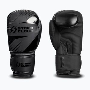 Bokszkesztyűk StormCloud Lynx 2.0 black/black (Lynx 2.0 590618) kép