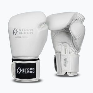 Bokszkesztyűk StormCloud Muay Thai Blizzard 2.0 white/silver (Muay Thai Blizzard 2.0 590618) kép