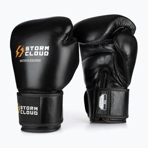 Bokszkesztyűk StormCloud Muay Thai Blizzard 2.0 black/white (Muay Thai Blizzard 2.0 590618) kép