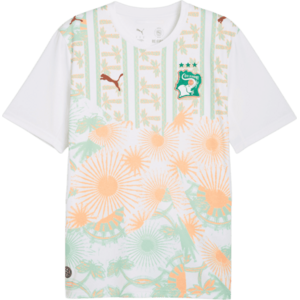 Ivory Coast Away Replica 2026 kép