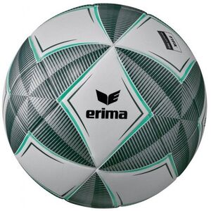 Erima -Star Pro Trainingsball kép