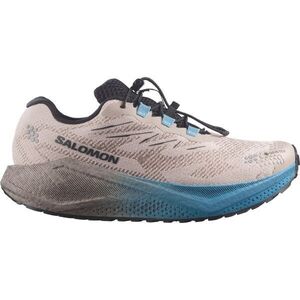 Salomon AERO BLAZE 4 GRAVEL GTX Férfi futócipő, szürke, méret 46 kép