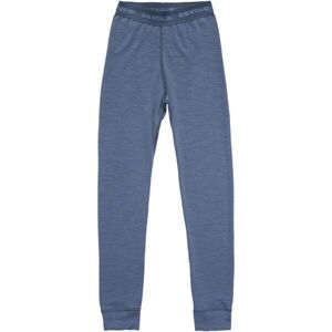 Devold DUO ACTIVE MERINO LONGS JR Gyerek merinó alsónadrág, kék, méret 14Y kép