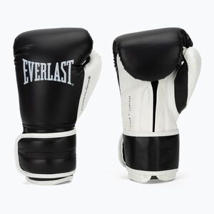Bokszkesztyűk Everlast Powerlock Pro OG H&L Training Glove black/white (Powerlock Pro OG H&L Training Glove EV4005HL-BLK/WHT) kép