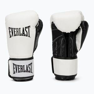 Bokszkesztyűk Everlast Powerlock Pro OG H&L Training Glove white/black (Powerlock Pro OG H&L Training Glove EV4005HL-WHT/BLK) kép