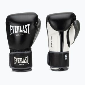 Bokszkesztyűk Everlast Powerlock OG H&L Leather Advanced Training black/white (Powerlock OG H&L Leather Advanced Training EV4008HL-BLK/WHT) kép