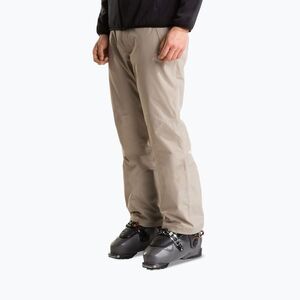 Férfi sínadrág The North Face Descendit stone slab (Descendit NF0A87ZY2MB1) kép