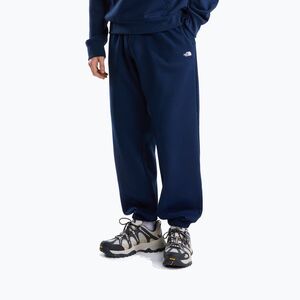 Férfi pulóver The North Face Evolution Simple Dome Regular Hoodie summit navy (Evolution Simple Dome Regular Hoodie NF0A8CWM8K21) kép