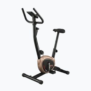 Függőleges szobakerékpár Body Sculpture Bc 1430Gd black (Bc 1430Gd) kép