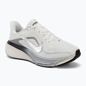 Női futócipők Nike Pegasus 42 summit white/sail/black/metallic silver (Pegasus 42 IR0298-100) kép