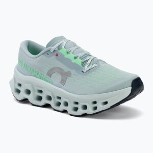 Női futócipők On Cloudmonster 3 brook/flurry (Cloudmonster 3 3WG10035256) kép