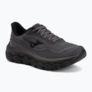 Férfi futócipők Mizuno Wave Horizon 9 blackened pearl/black/peppercorn (Wave Horizon 9 J1GC262652) kép