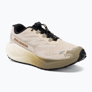 Női futócipők Salomon Aero Blaze 4 GRVL tapioca/vanilla ice (Aero Blaze 4 L45401900) kép