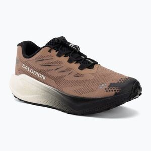 Férfi futócipők Salomon Aero Blaze 4 GRVL burro/vanilla ice (Aero Blaze 4 L45400500) kép