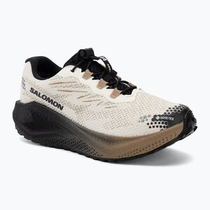 Női futócipők Salomon Aero Blaze 4 GRVL GTX vanilla ice/black (Aero Blaze 4 Gravel GTX L45403900) kép