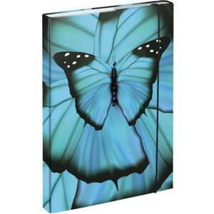 BAAGL BUTTERFLY Füzettartó box A4, kék, méret kép