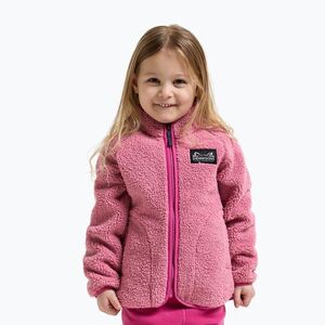 Gyerek polár pulóver Didriksons Gibbsc 2 Fz heather pink/cactus pink (Gibbsc 2 Fz 505577-B29-090) kép