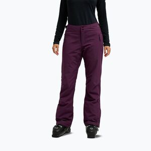 Női snowboardnadrág ROXY Alpine Ridge blackberry wine (Alpine Ridge ERJTP03317-PSJ0) kép