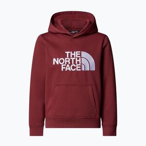 Gyerek pulóver The North Face Teen Drew Peak Pullover Hoodie sumac (Teen Drew Peak Pullover Hoodie NF0A8EHH0VO1) kép