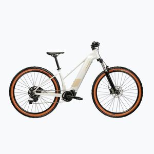 Női elektromos kerékpár KROSS Influx Hyb 1.0 720Wh grey/gold/gloss (Influx Hyb 1.0 720 W KRIX1Z29X15W009231) kép
