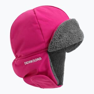Gyerek téli sapka Didriksons Biggles 7 cactus pink (Biggles 7 506340-K20--50) kép